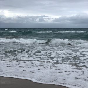 Meet your Posher, Devonte